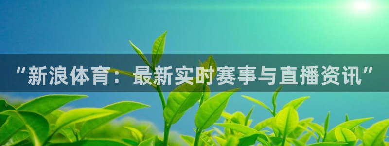 “新浪体育：最新实时赛事与直播资讯”